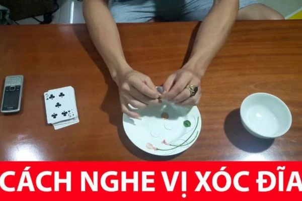 nghe vi xoc dia